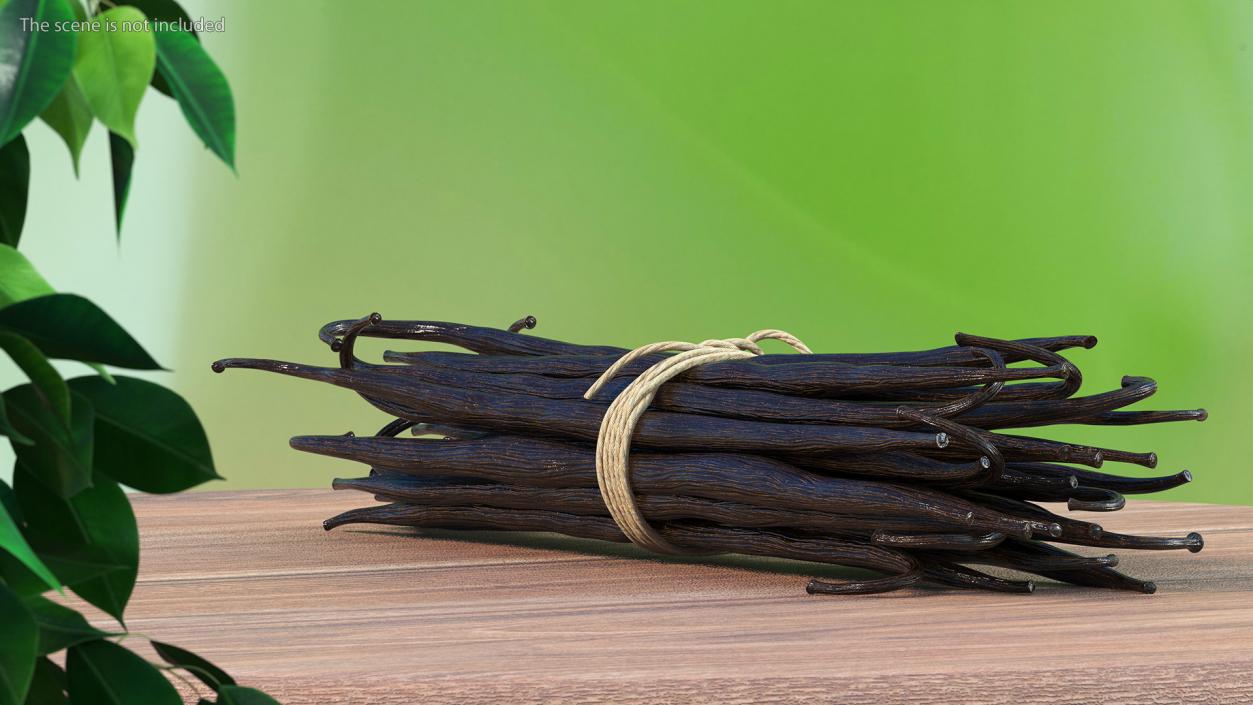 3D model Vanilla Sticks Bunch