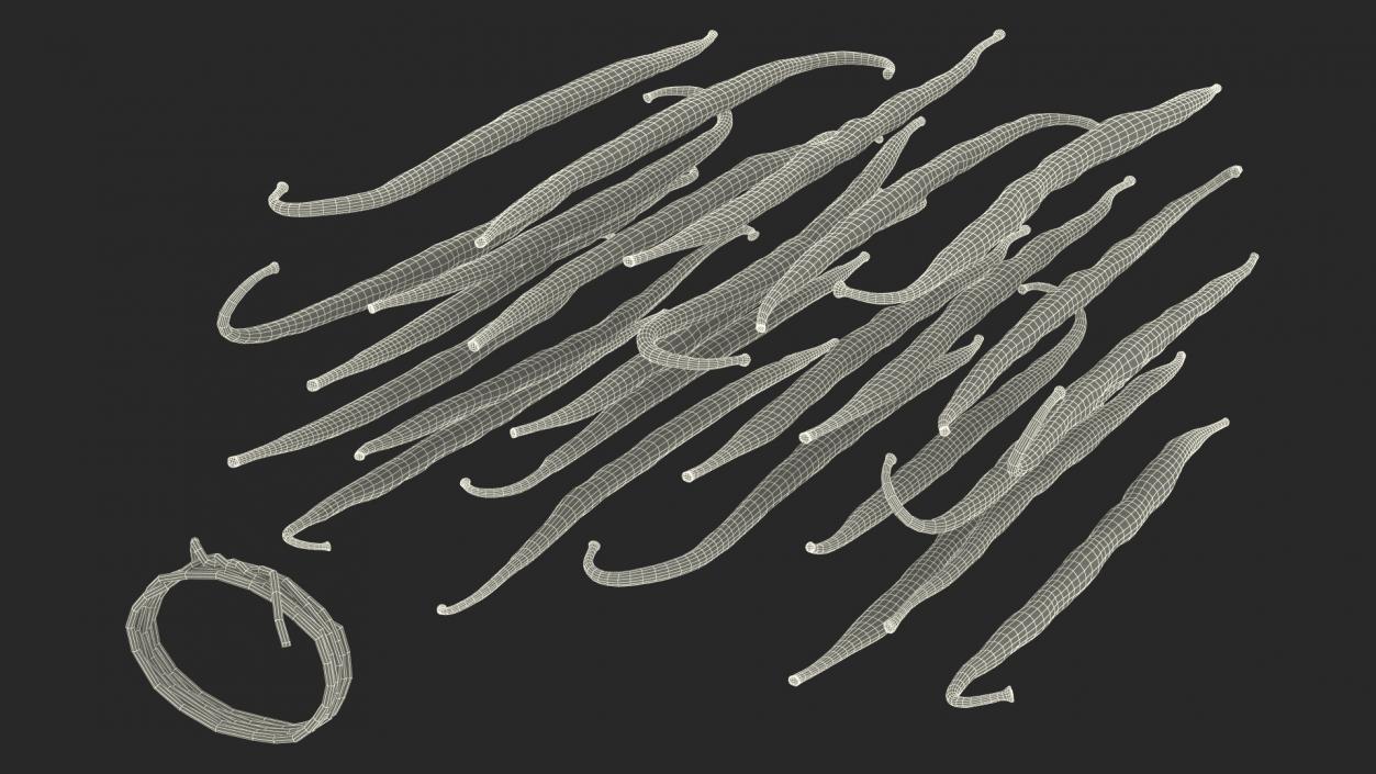 3D model Vanilla Sticks Bunch