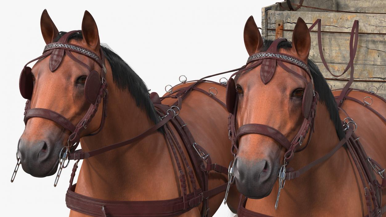 Pair Of Horses Pulling Wagon Fur 3D