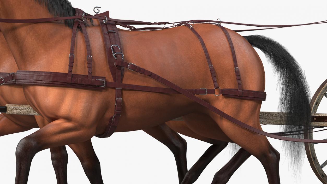 Pair Of Horses Pulling Wagon Fur 3D