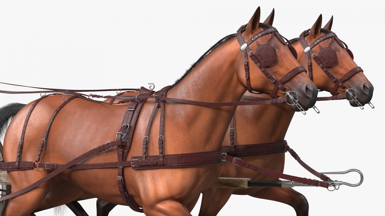 Pair Of Horses Pulling Wagon Fur 3D