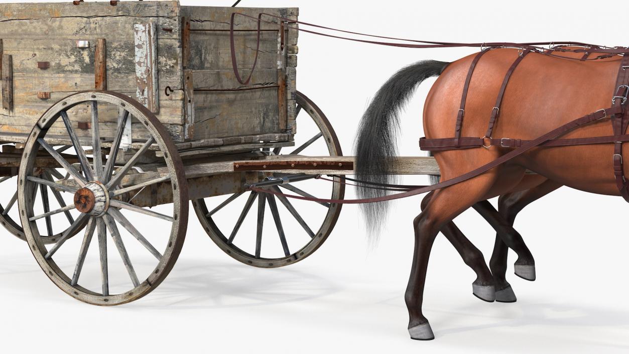 Pair Of Horses Pulling Wagon Fur 3D