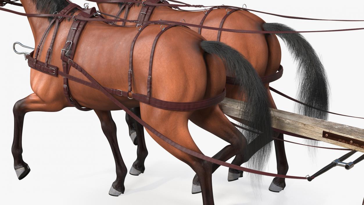 Pair Of Horses Pulling Wagon Fur 3D