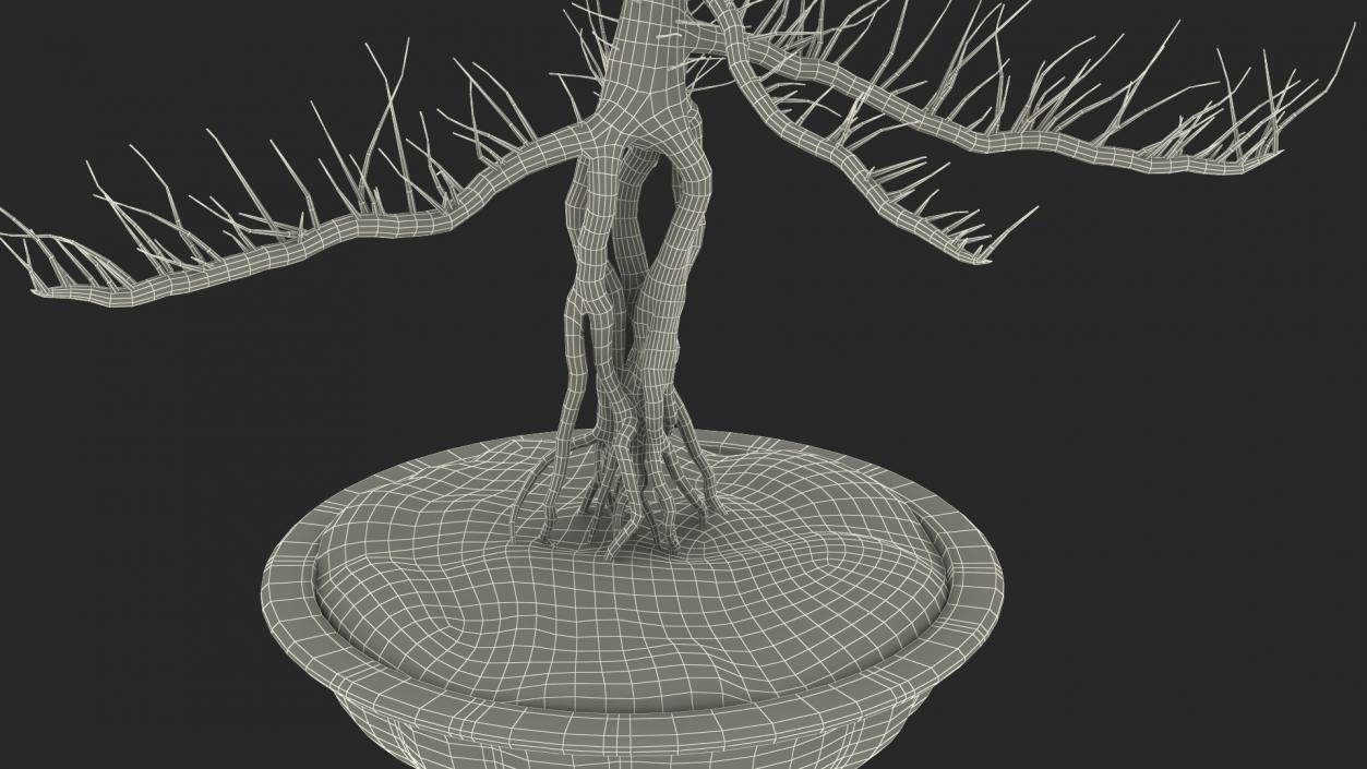 Bare Bonsai Tree in Pot Fur 3D