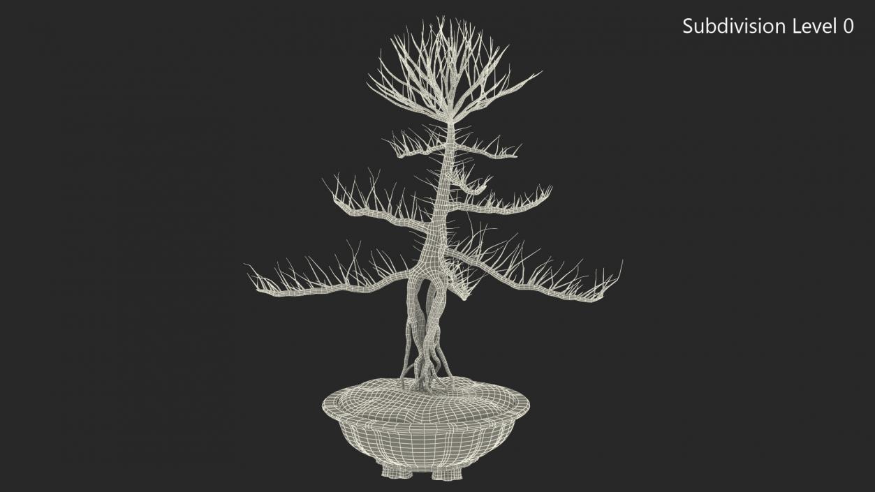 Bare Bonsai Tree in Pot Fur 3D