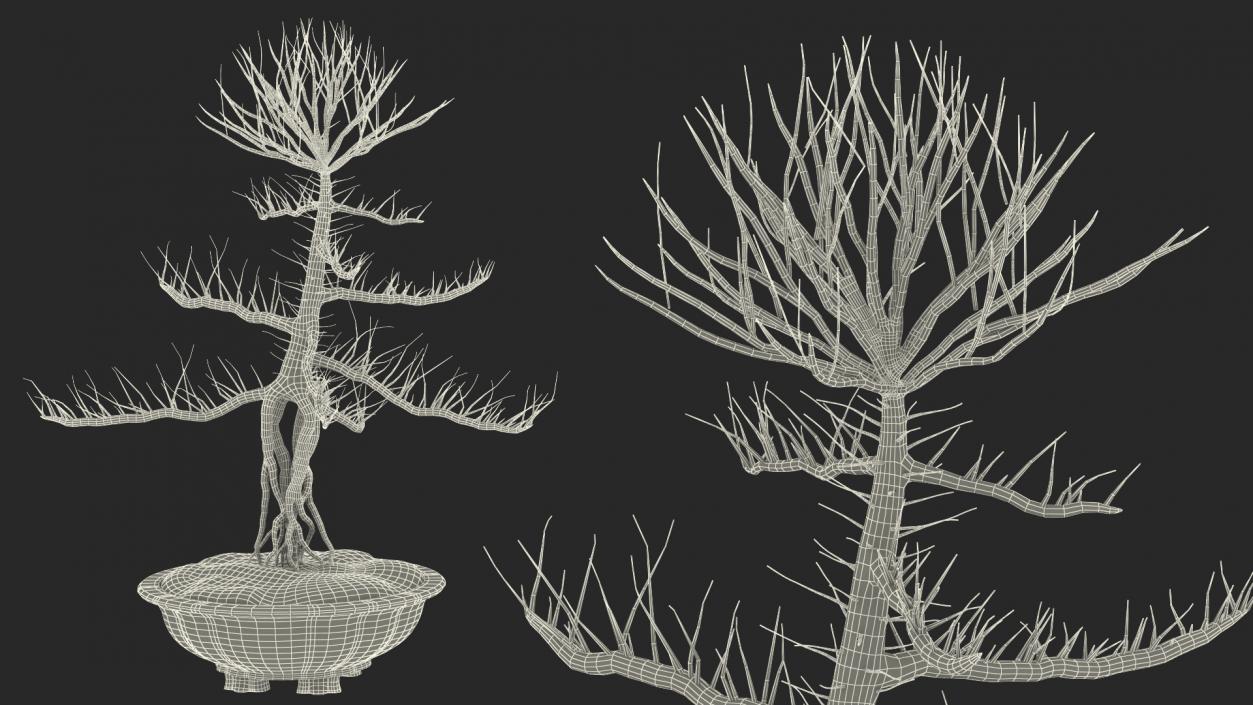 Bare Bonsai Tree in Pot Fur 3D