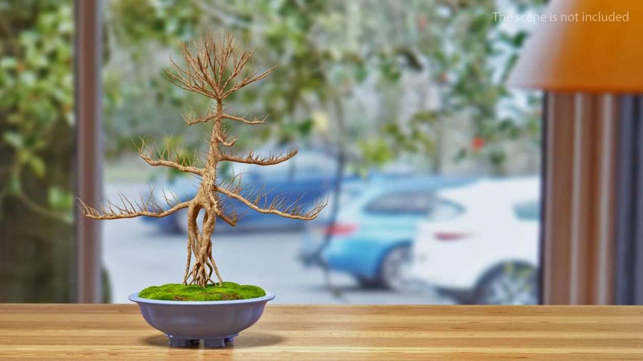 Bare Bonsai Tree in Pot Fur 3D