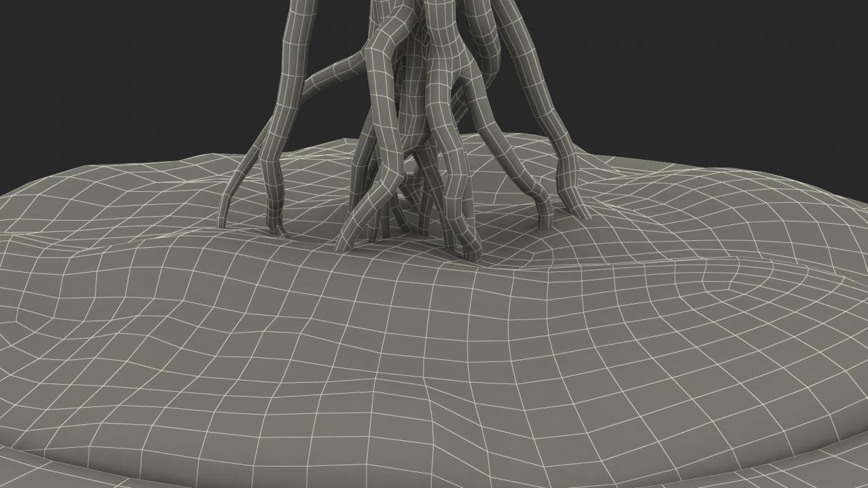 Bare Bonsai Tree in Pot Fur 3D