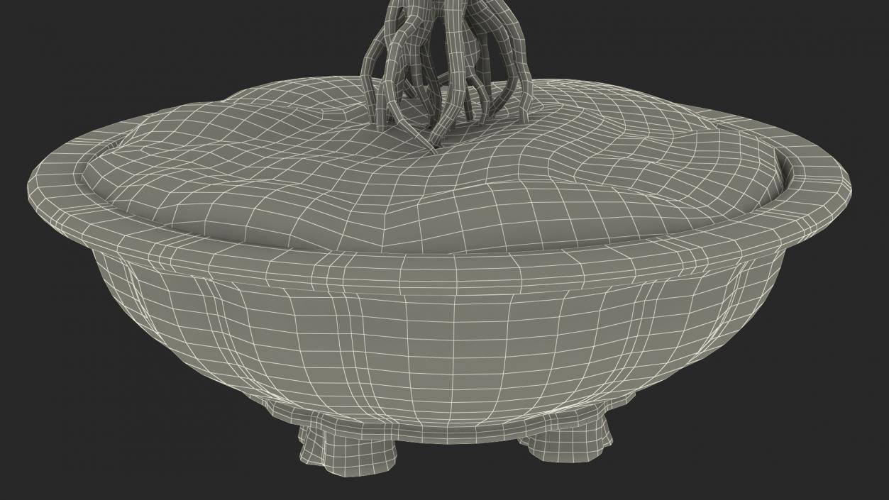 Bare Bonsai Tree in Pot Fur 3D