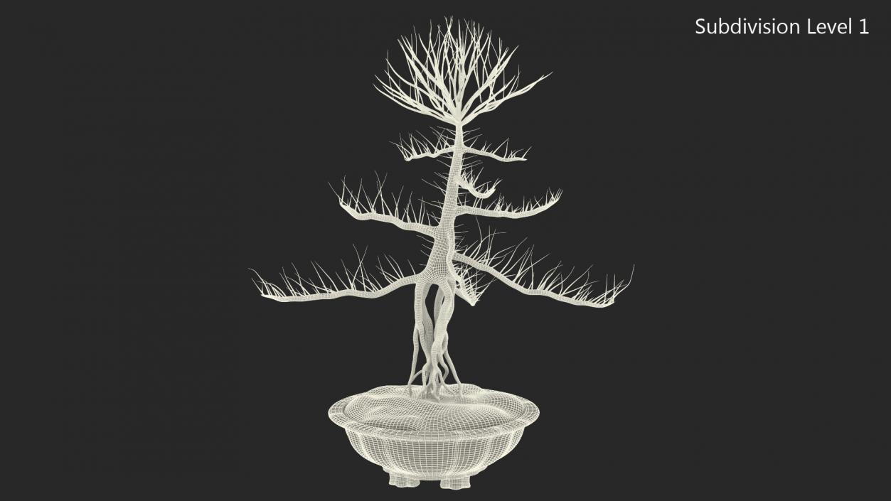 Bare Bonsai Tree in Pot Fur 3D