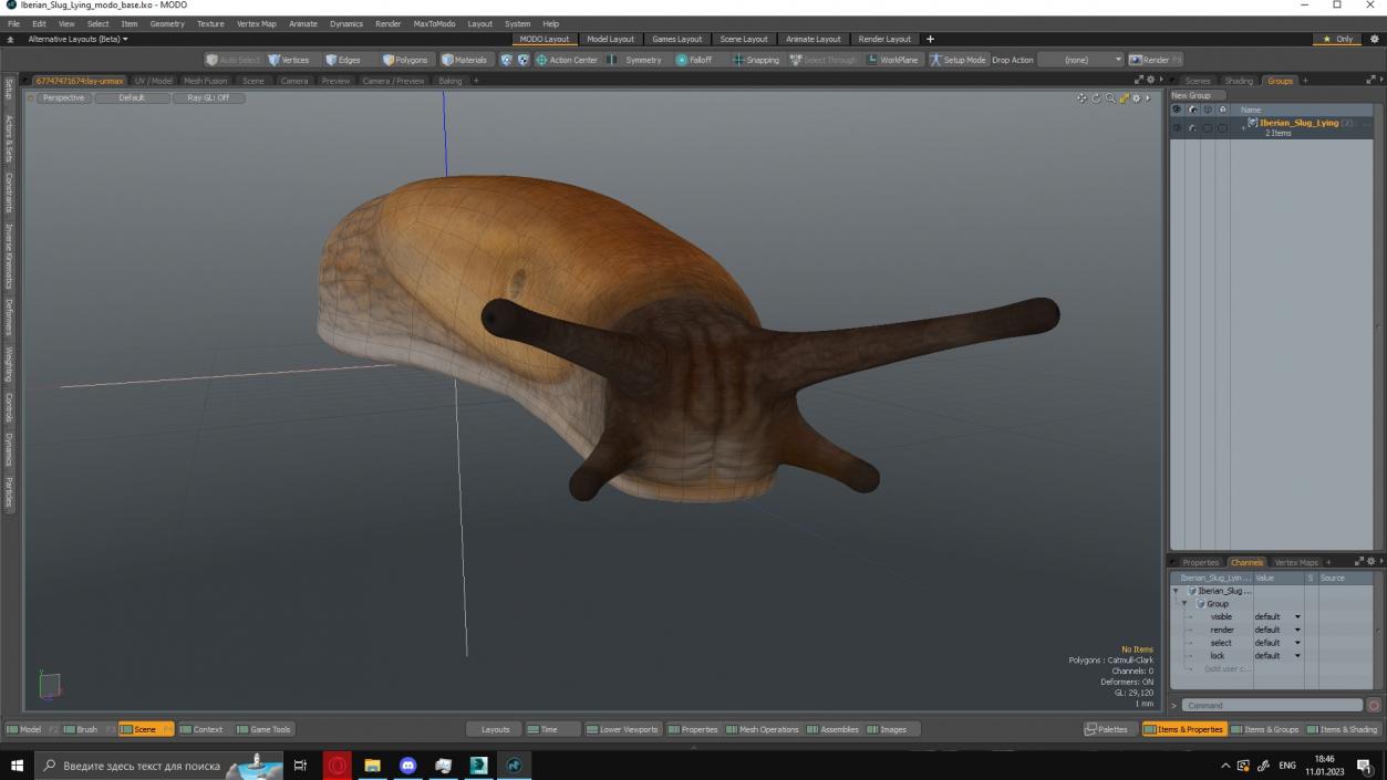 3D Iberian Slug Lying model