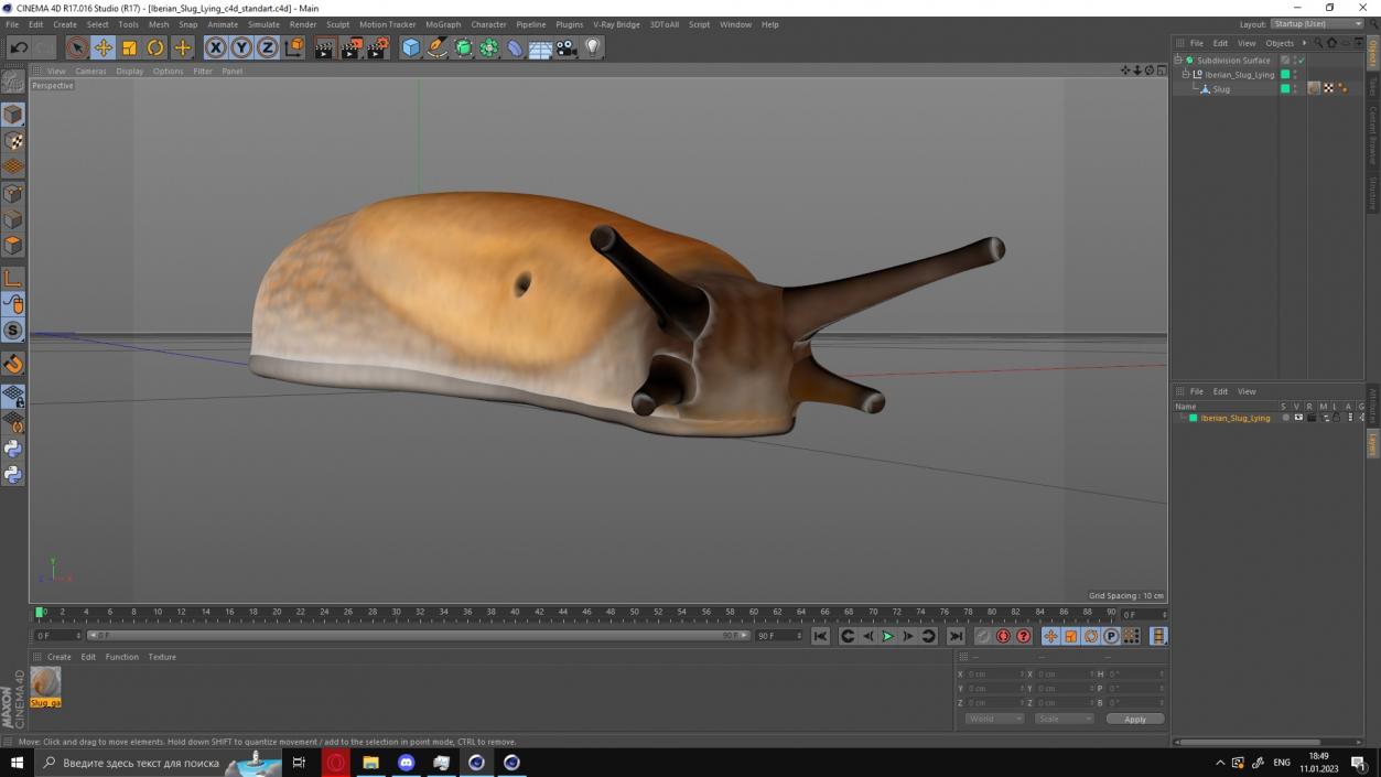 3D Iberian Slug Lying model