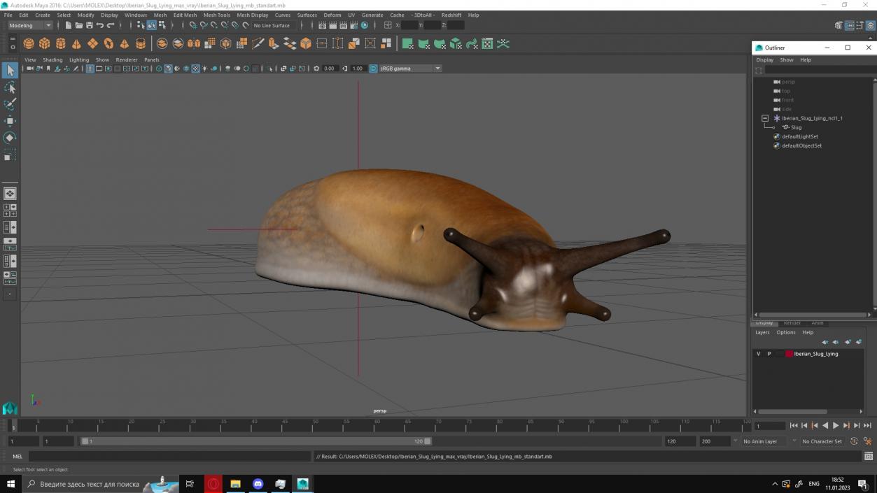 3D Iberian Slug Lying model