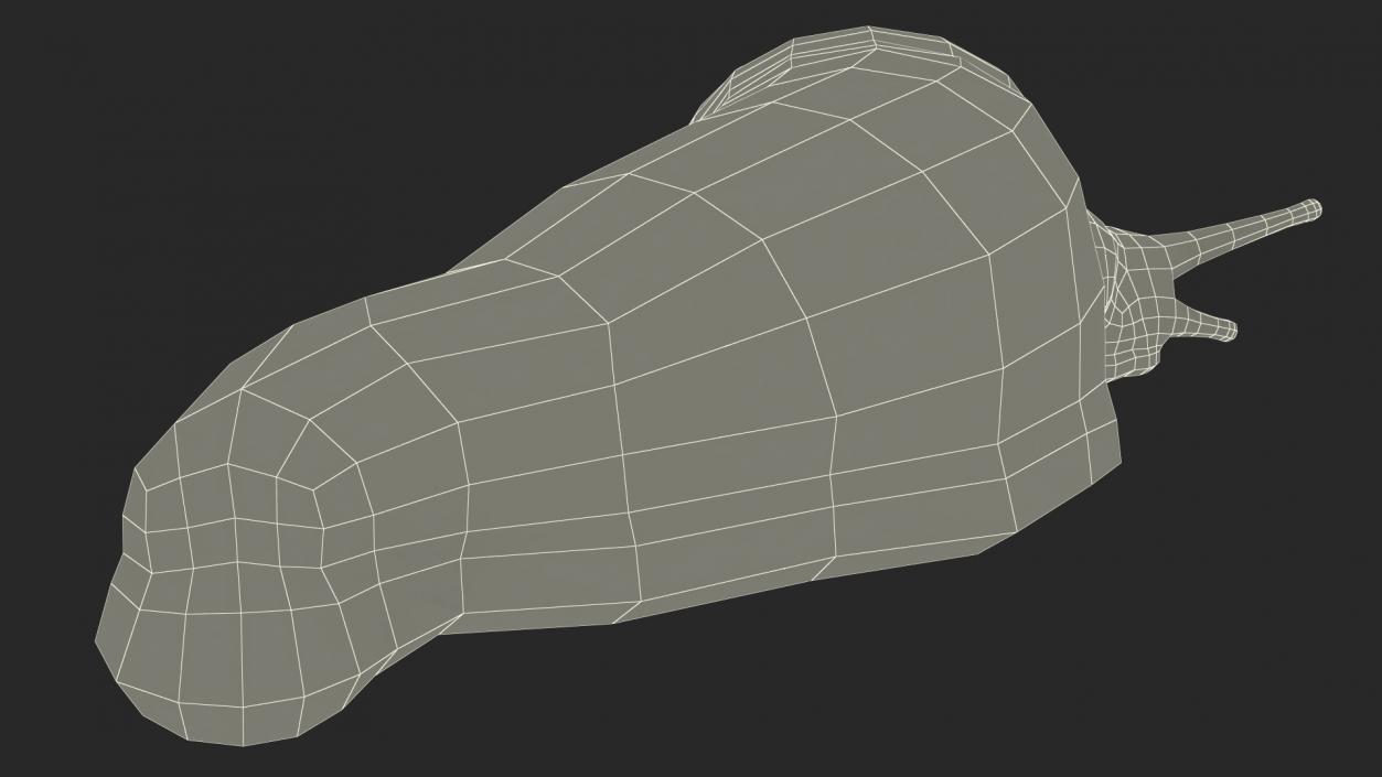 3D Iberian Slug Lying model