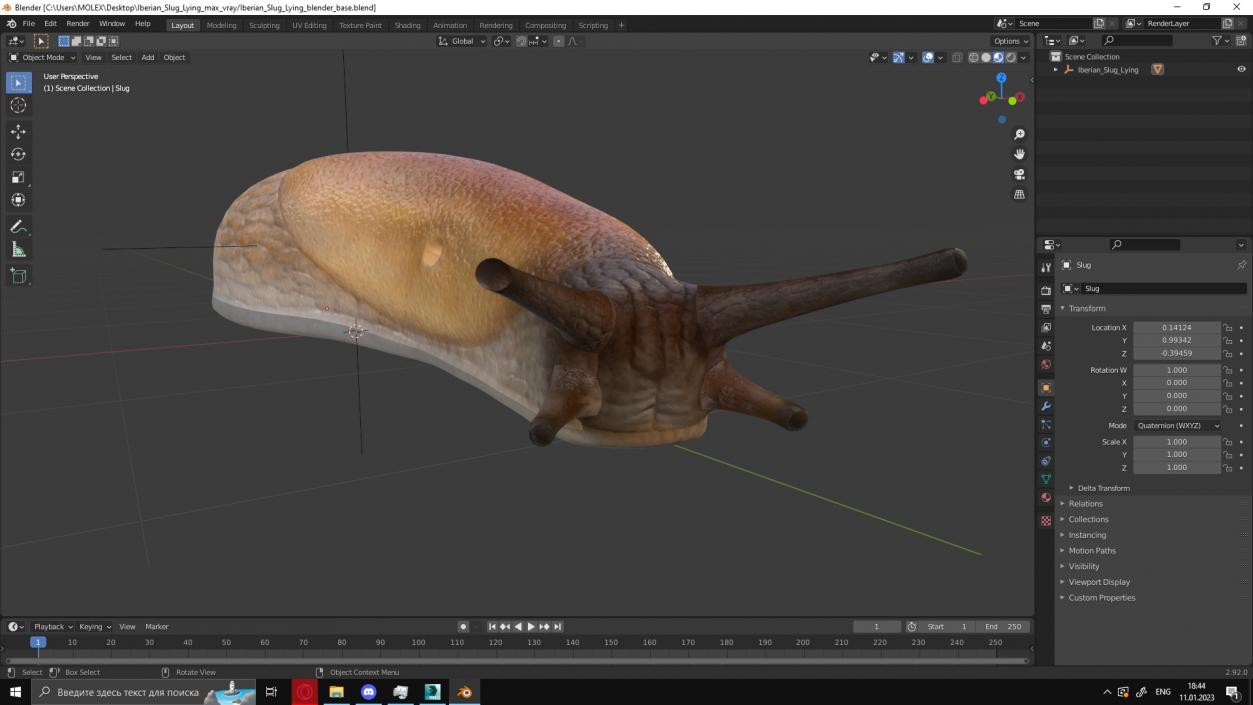 3D Iberian Slug Lying model