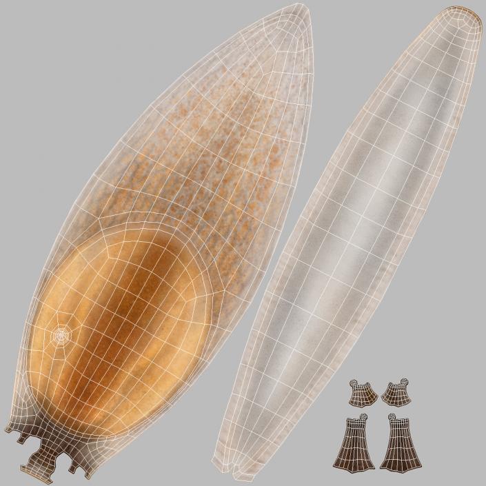 3D Iberian Slug Lying model