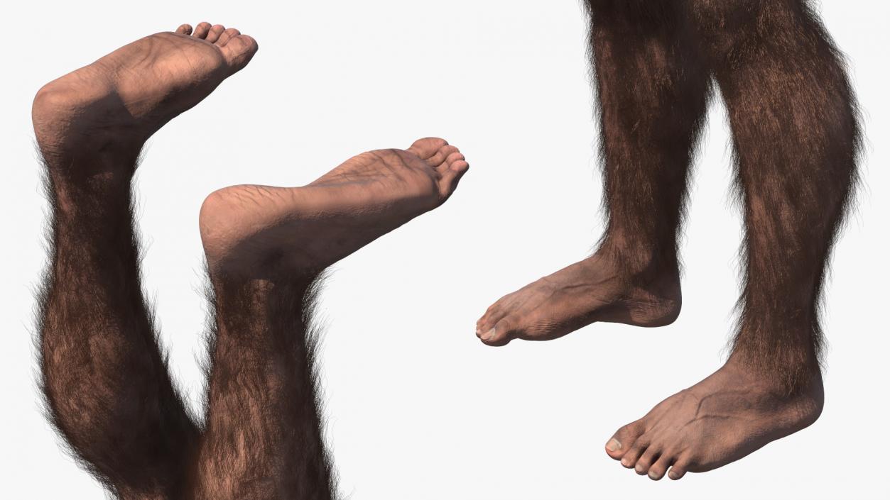 3D Homo Habilis Fur Rigged model