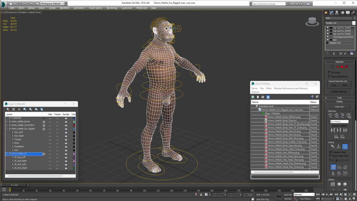 3D Homo Habilis Fur Rigged model