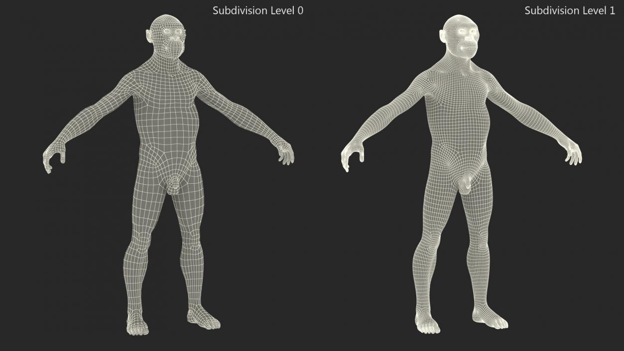 3D Homo Habilis Fur Rigged model