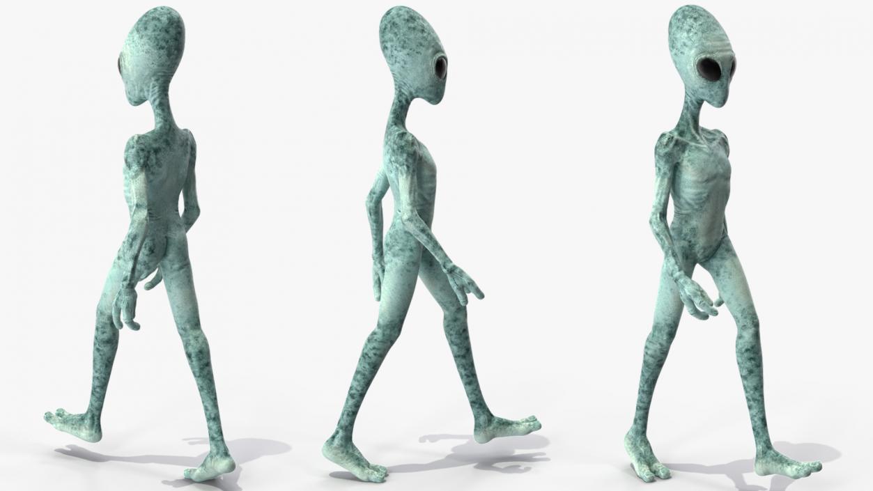 Extraterrestrial Alien Rigged 3D model