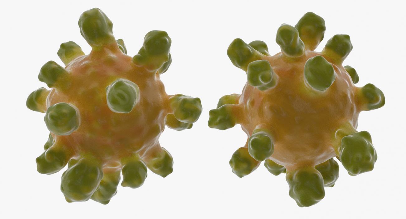 3D Measles Virus model