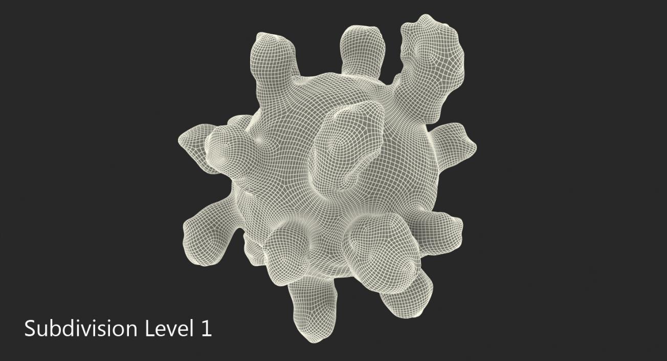 3D Measles Virus model