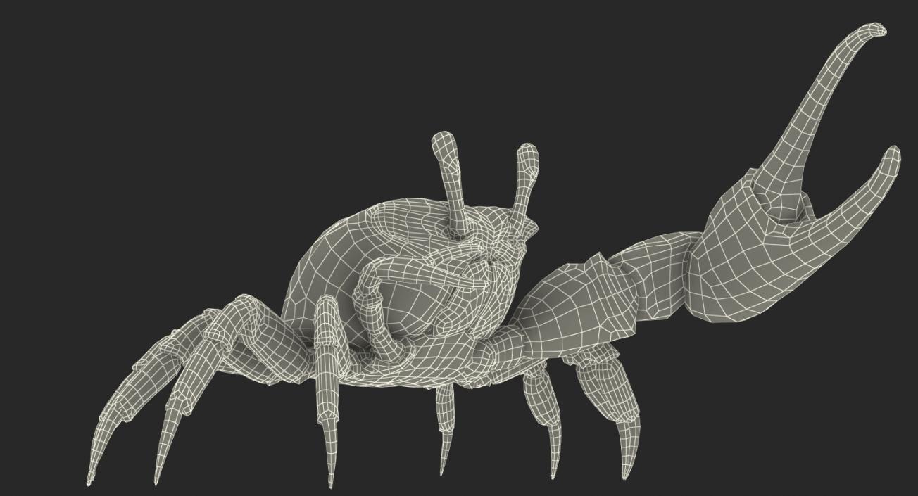 3D Fiddler Crab with Fur Rigged model