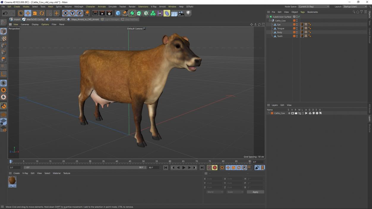 3D model Cattle Cow