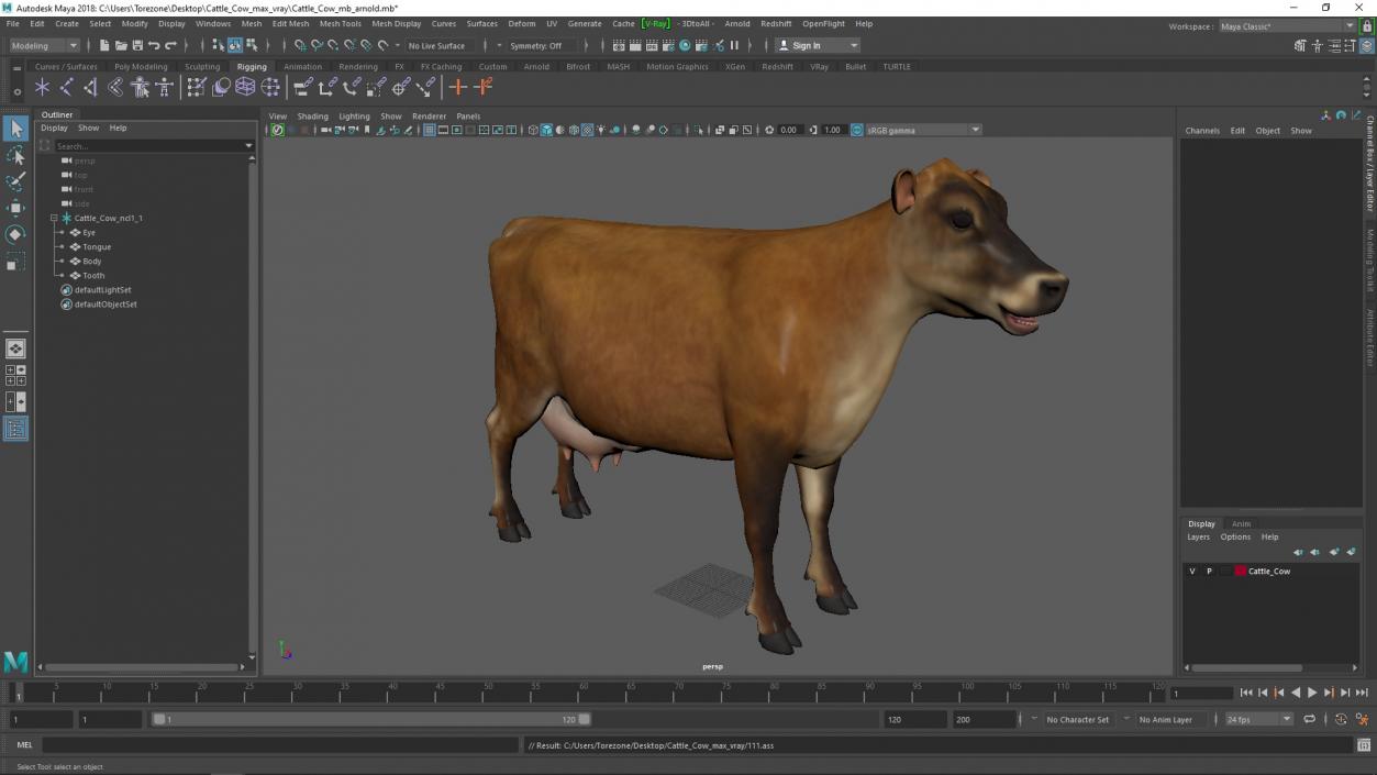 3D model Cattle Cow