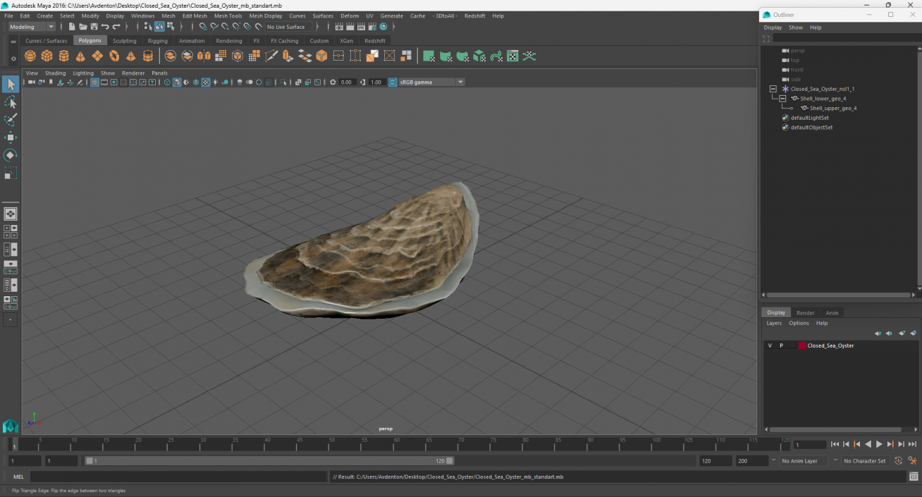 Closed Sea Oyster 3D