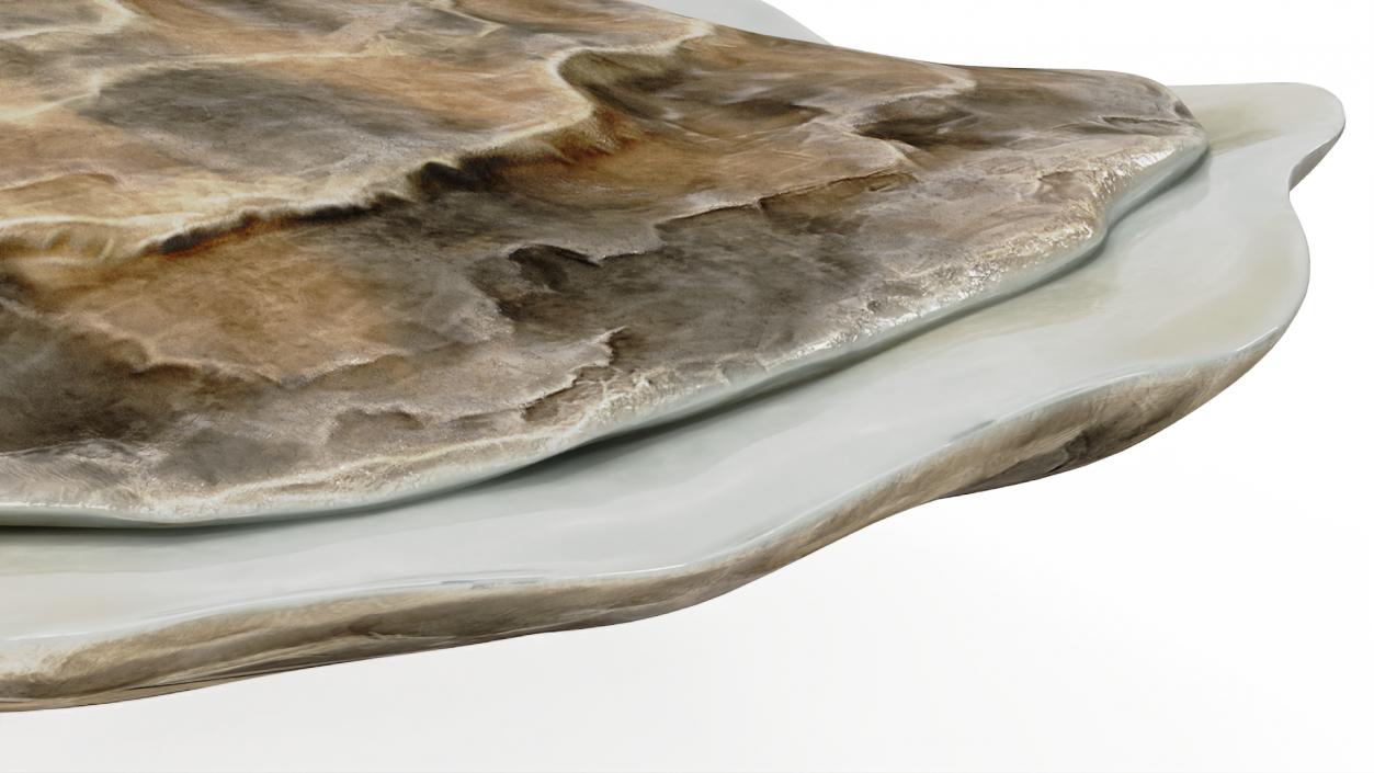 Closed Sea Oyster 3D