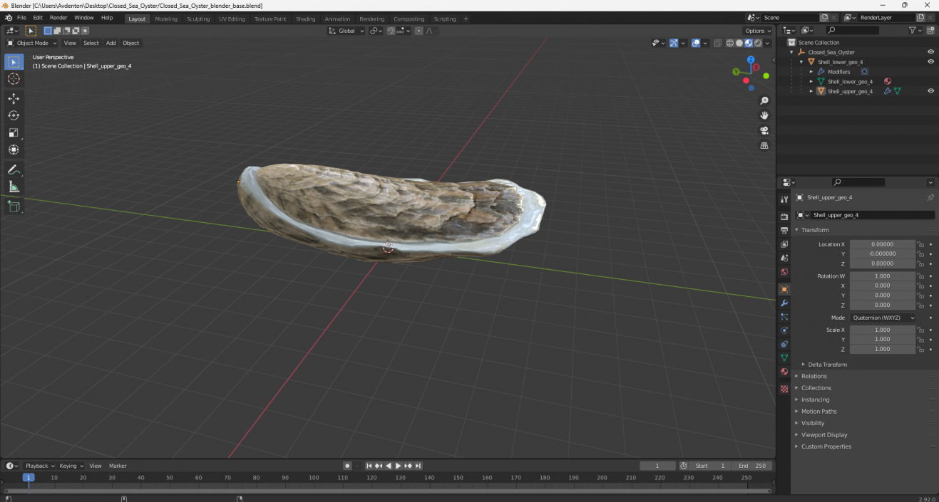 Closed Sea Oyster 3D