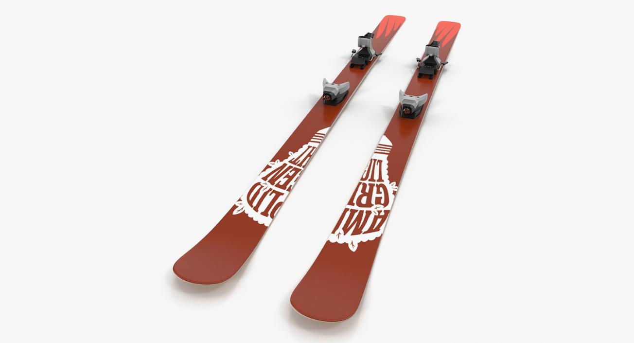 Ski 3D Models Collection 3D model