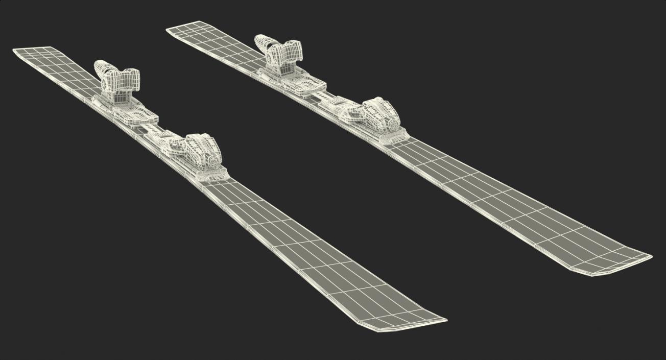 Ski 3D Models Collection 3D model