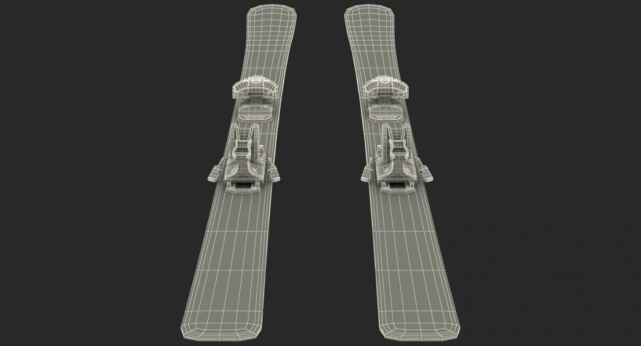 Ski 3D Models Collection 3D model