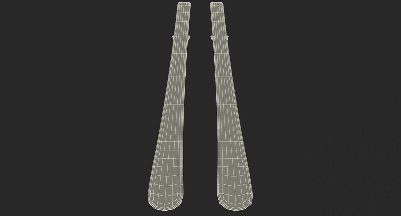 Ski 3D Models Collection 3D model