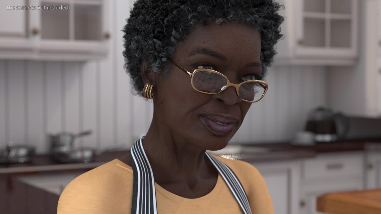 Afro American Woman Kitchen Style Rigged for Modo 3D model