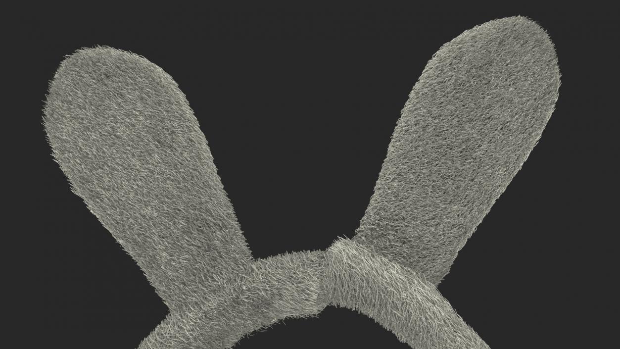 3D Bunny Ears Headband Fur model