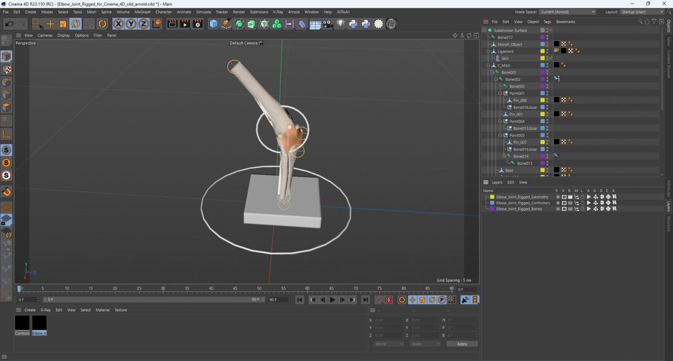 Elbow Joint Rigged for Cinema 4D 3D