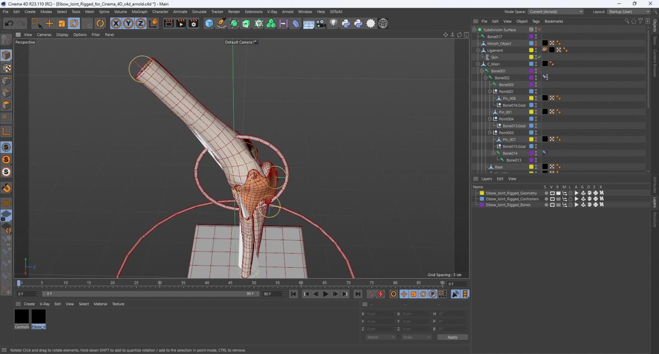 Elbow Joint Rigged for Cinema 4D 3D