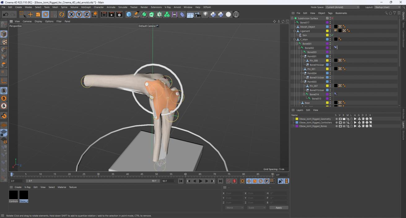 Elbow Joint Rigged for Cinema 4D 3D