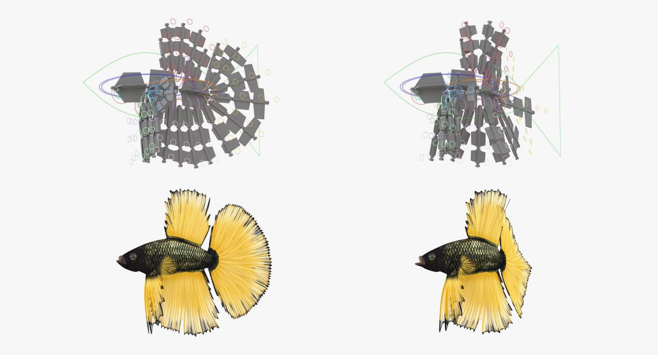 Rigged Coral Fishes 3D Models Collection 3 3D