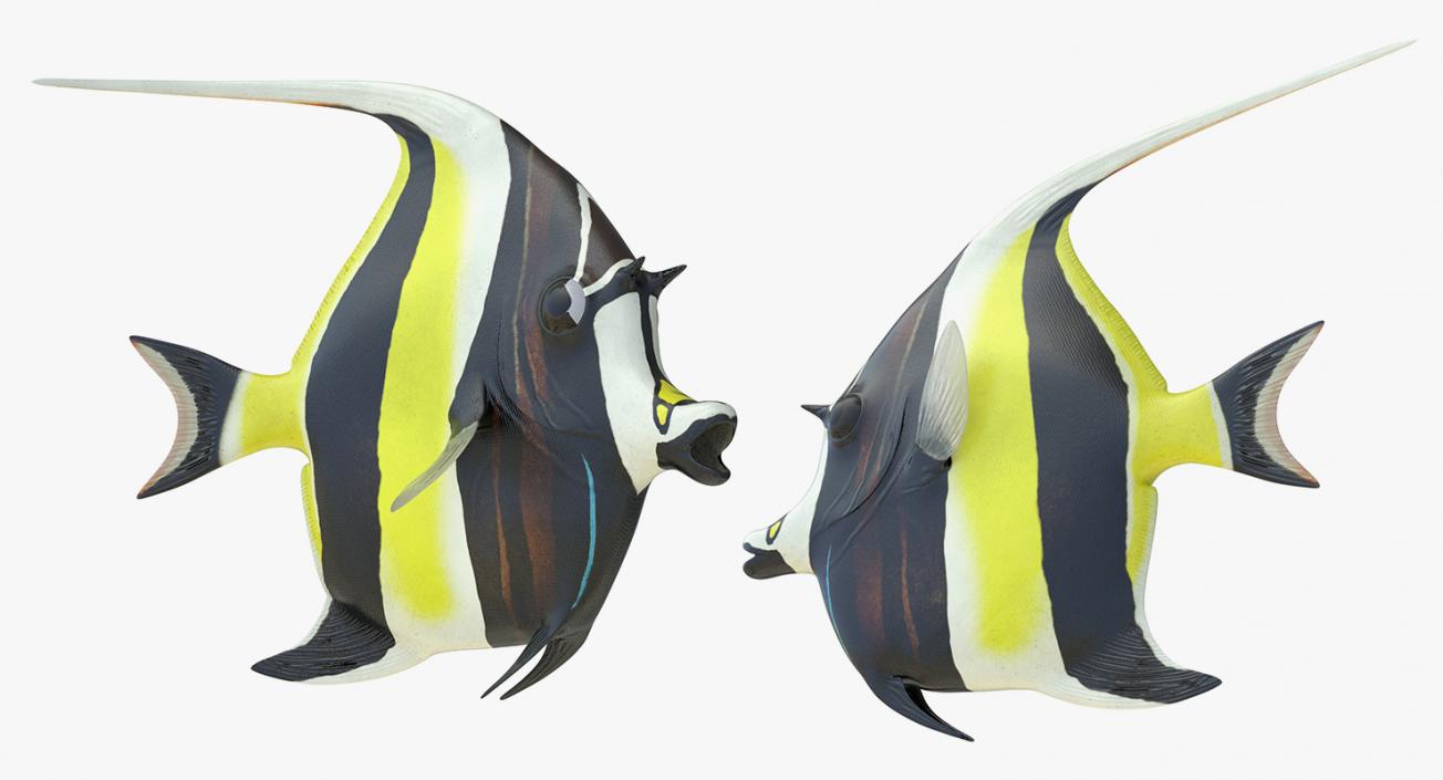 Rigged Coral Fishes 3D Models Collection 3 3D