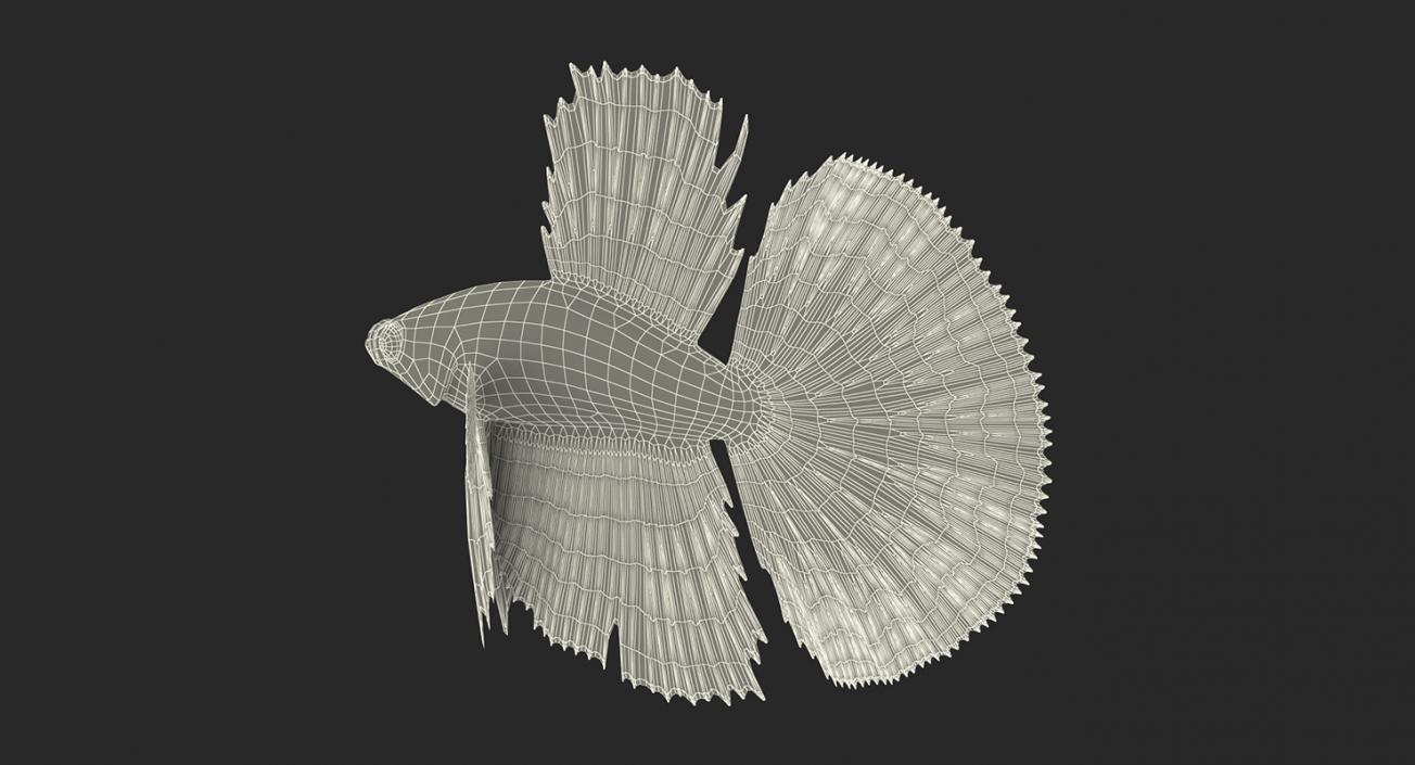 Rigged Coral Fishes 3D Models Collection 3 3D