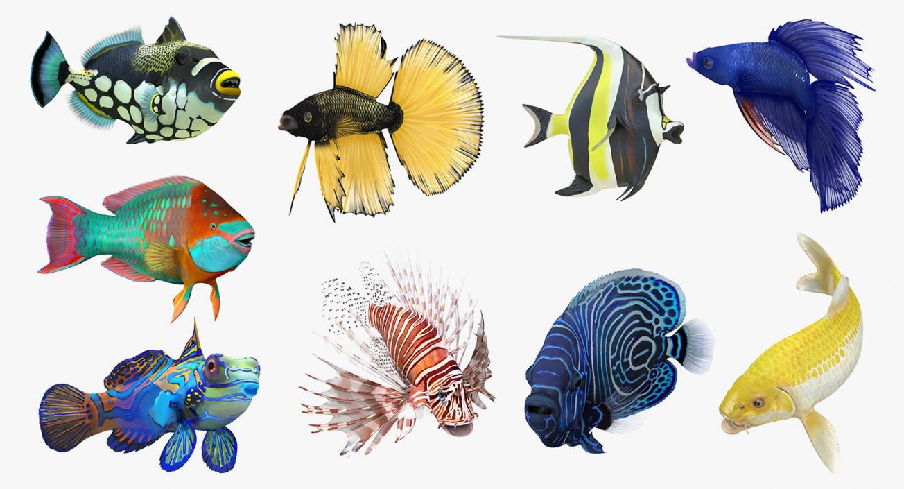 Rigged Coral Fishes 3D Models Collection 3 3D