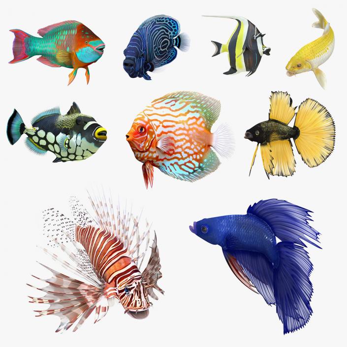 Rigged Coral Fishes 3D Models Collection 3 3D