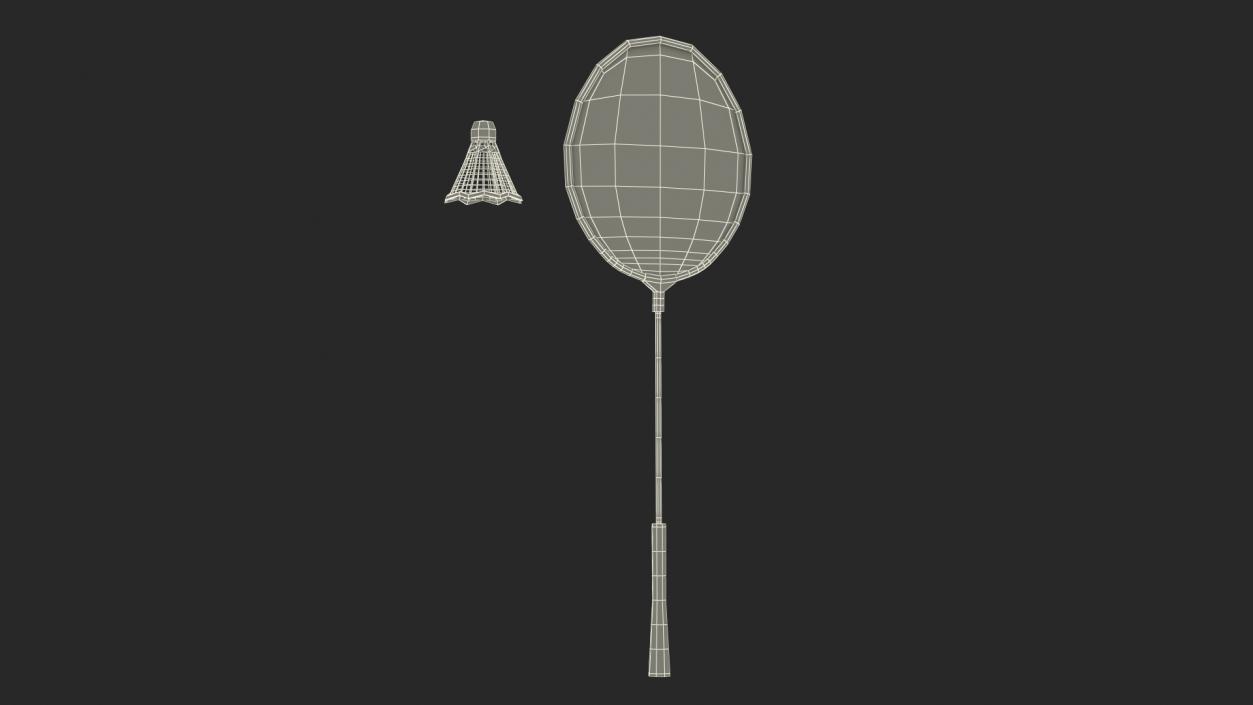 Badminton Racket and Shuttlecock 3D