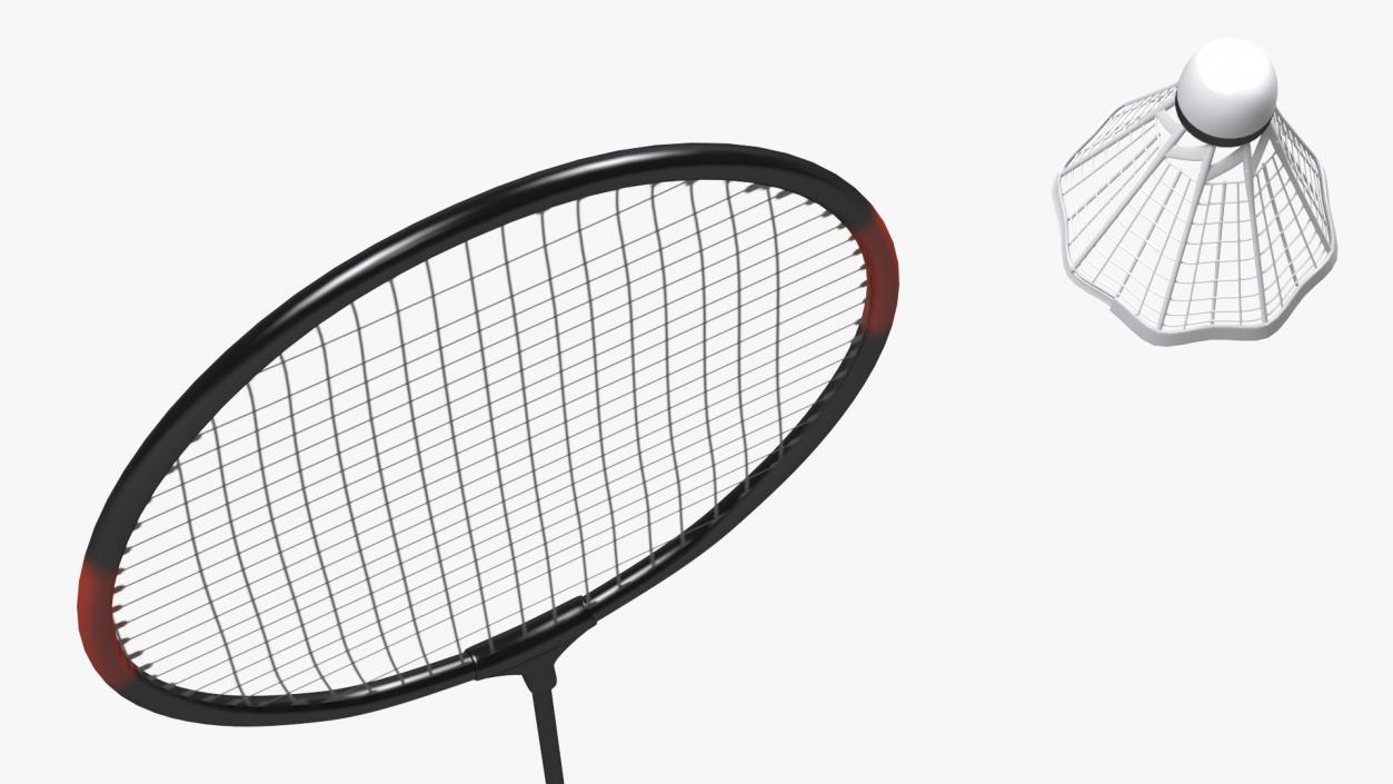 Badminton Racket and Shuttlecock 3D