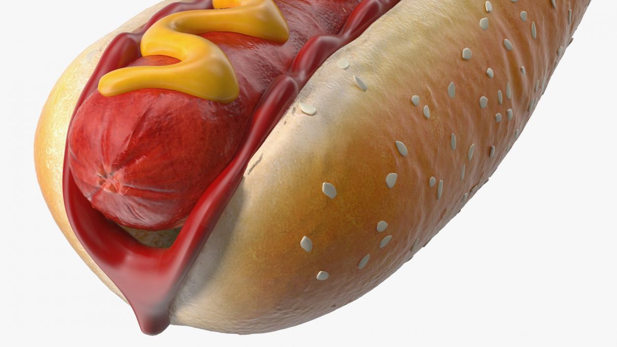 3D Hot Dog with Ketchup Mustard model