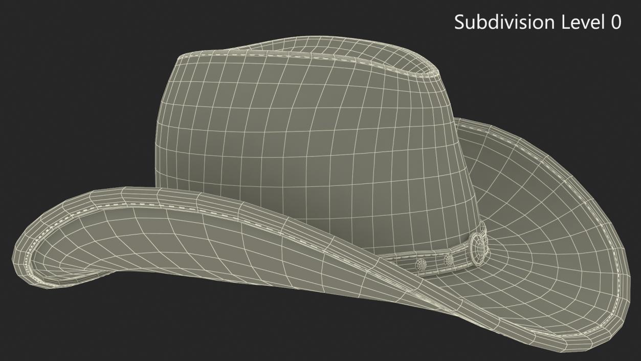 3D model Old Western Leather Cowboy Hat